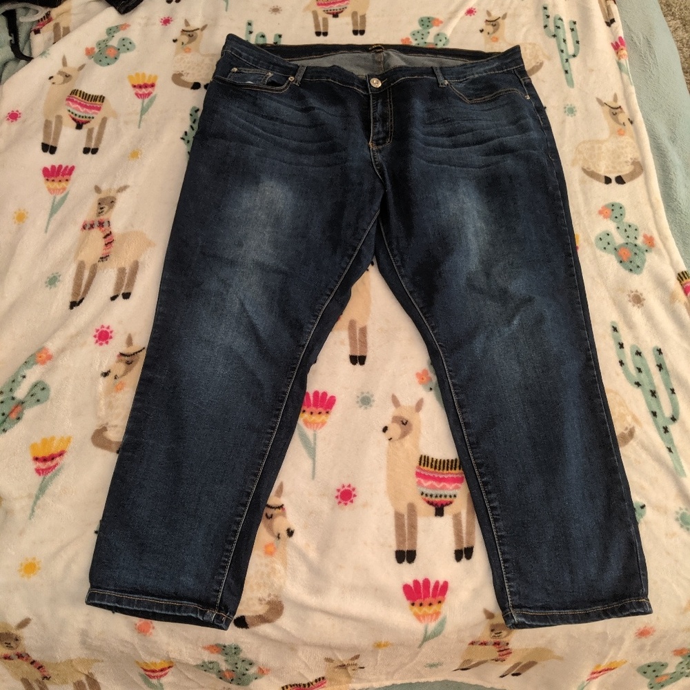 D.Kin Dark Wash Skinny Jean
